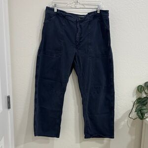 Madewell Darted Barrel Blue Pants 32